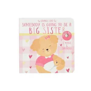 Children's book "Sounds Like Big Sister" cover, featuring a colorful illustration of two sisters bonding and playing music.