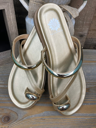 Alternate view of Yellowbox Hilari Gold Toe Ring Sandal
