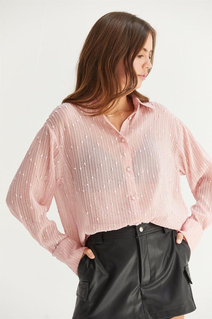 Blush Sheer Sequin Textured Top - The Gypsy Belle Boutique