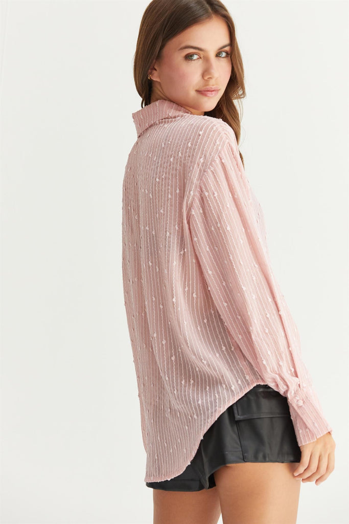 Blush Sheer Sequin Textured Top - The Gypsy Belle Boutique