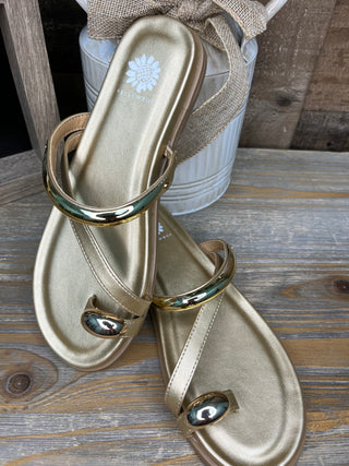 Alternate view of Yellowbox Hilari Gold Toe Ring Sandal
