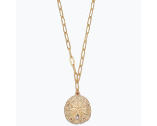 Gold sand dollar pendant on delicate paperclip chain necklace.
