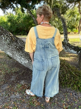 Starstruck Patch Overalls
