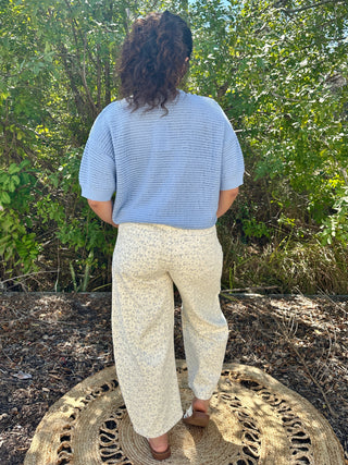 Sky blue textured short-sleeve v-neck woven top paired with cream floral pants.
