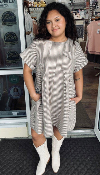 Star Drop Mocha Stripe Short Twill Swing Dress
