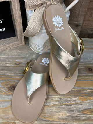 Gold metallic thong sandals with buckle straps and white daisy logo on tan footbed.
