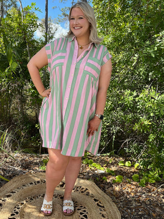 Strawberry Mint Striped Picnic Dress