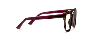 Alternate view of Fanfare Tortoise/Cherry Progressives by Peepers
